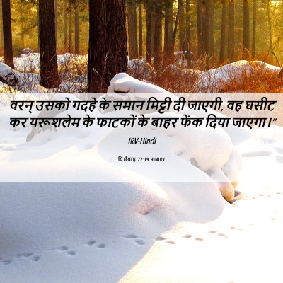 Picture 06 - यिर्मयाह 22:19 HINIRV - वरन् उसको गदहे के - Bible Verse Picture