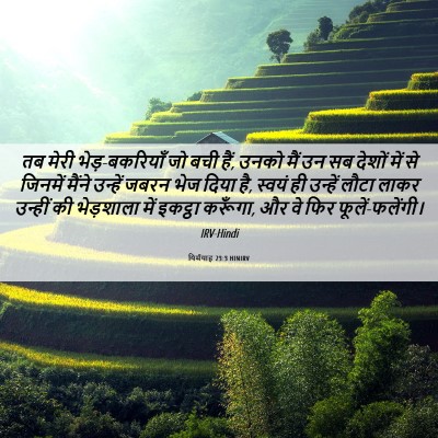 Picture 06 - यिर्मयाह 23:3 HINIRV - तब मेरी - Bible Verse Picture