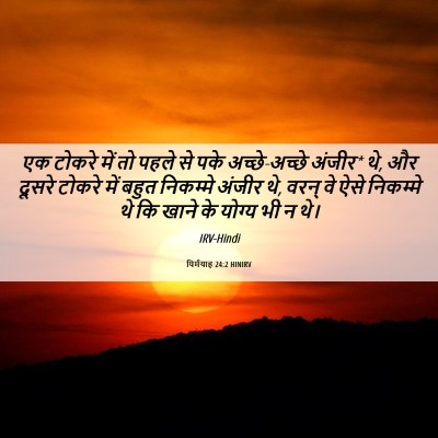 Picture 06 - यिर्मयाह 24:2 HINIRV - एक टोकरे में तो - Bible Verse Picture