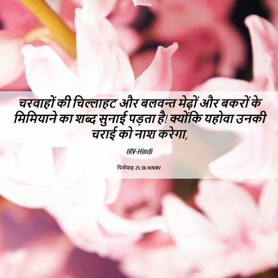 Picture 06 - यिर्मयाह 25:36 HINIRV - चरवाहों की - Bible Verse Picture