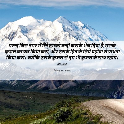 Picture 06 - यिर्मयाह 29:7 HINIRV - परन्तु जिस नगर में - Bible Verse Picture