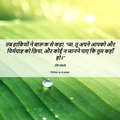 Picture 06 - यिर्मयाह 36:19 HINIRV - तब हाकिमों ने - Bible Verse Picture