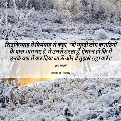 Picture 06 - यिर्मयाह 38:19 HINIRV - सिदकिय्याह ने - Bible Verse Picture