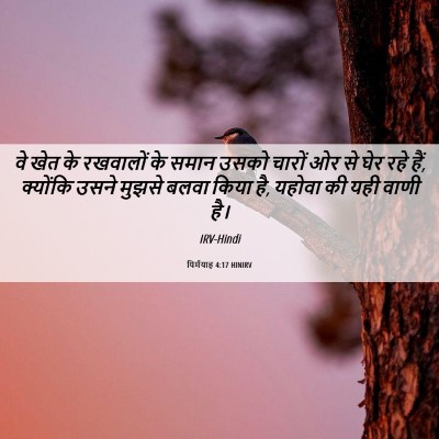 Picture 06 - यिर्मयाह 4:17 HINIRV - वे खेत के रखवालों - Bible Verse Picture
