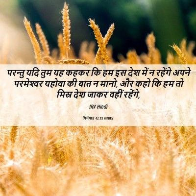 Picture 06 - यिर्मयाह 42:13 HINIRV - परन्तु यदि तुम यह - Bible Verse Picture