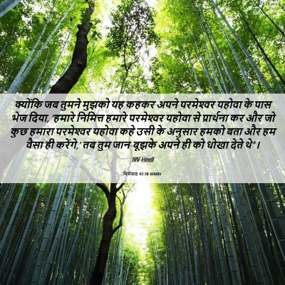 Picture 06 - यिर्मयाह 42:20 HINIRV - क्योंकि जब तुमने - Bible Verse Picture