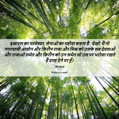 Picture 06 - यिर्मयाह 46:25 HINIRV - इस्राएल का - Bible Verse Picture