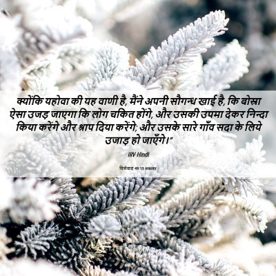 Picture 06 - यिर्मयाह 49:13 HINIRV - क्योंकि यहोवा की - Bible Verse Picture