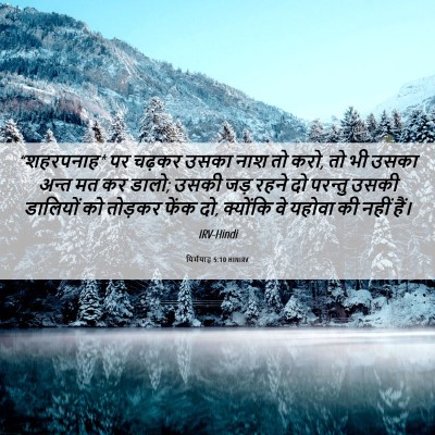 Picture 06 - यिर्मयाह 5:10 HINIRV - “शहरपनाह* पर चढ़कर - Bible Verse Picture