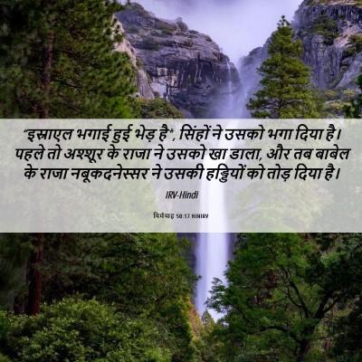 Picture 06 - यिर्मयाह 50:17 HINIRV - “इस्राएल भगाई हुई - Bible Verse Picture
