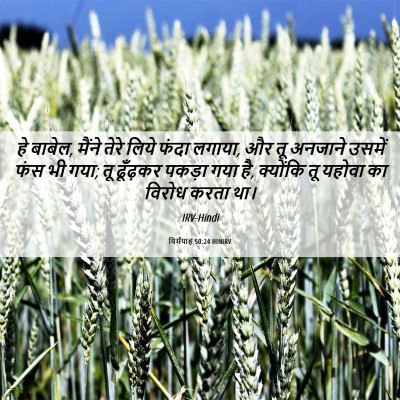 Picture 06 - यिर्मयाह 50:24 HINIRV - हे बाबेल, मैंने - Bible Verse Picture