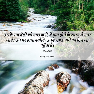 Picture 06 - यिर्मयाह 50:27 HINIRV - उसके सब बैलों को - Bible Verse Picture