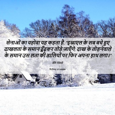 Picture 06 - यिर्मयाह 6:9 HINIRV - सेनाओं का यहोवा यह - Bible Verse Picture