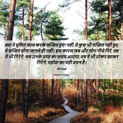 Picture 06 - यिर्मयाह 8:12 HINIRV - क्या वे घृणित काम - Bible Verse Picture