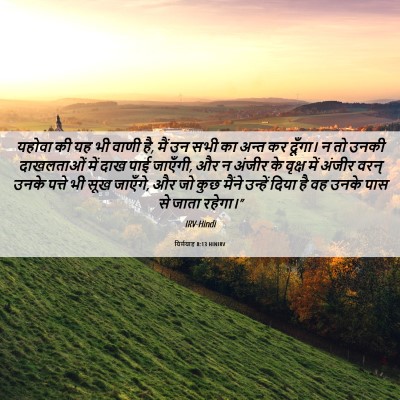Picture 06 - यिर्मयाह 8:13 HINIRV - यहोवा की यह भी वाणी - Bible Verse Picture
