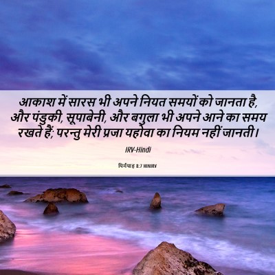 Picture 06 - यिर्मयाह 8:7 HINIRV - आकाश में सारस भी - Bible Verse Picture