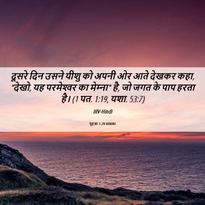 Picture 06 - यूहन्ना 1:29 HINIRV - दूसरे दिन उसने - Bible Verse Picture