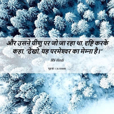 Picture 06 - यूहन्ना 1:36 HINIRV - और उसने यीशु पर जो - Bible Verse Picture