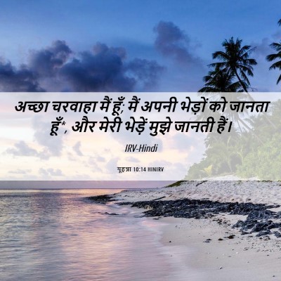 Picture 06 - यूहन्ना 10:14 HINIRV - अच्छा चरवाहा मैं - Bible Verse Picture