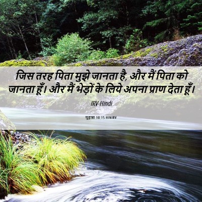 Picture 06 - यूहन्ना 10:15 HINIRV - जिस तरह पिता मुझे - Bible Verse Picture