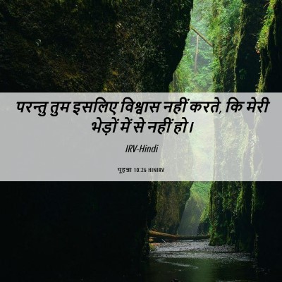 Picture 06 - यूहन्ना 10:26 HINIRV - परन्तु तुम इसलिए - Bible Verse Picture