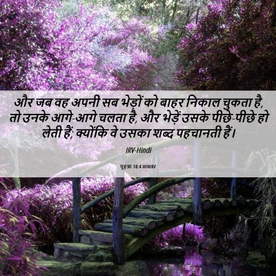Picture 06 - यूहन्ना 10:4 HINIRV - और जब वह अपनी सब - Bible Verse Picture