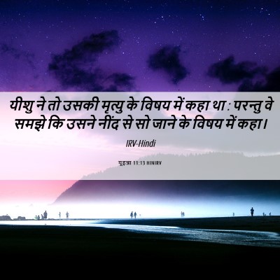 Picture 06 - यूहन्ना 11:13 HINIRV - यीशु ने तो उसकी - Bible Verse Picture