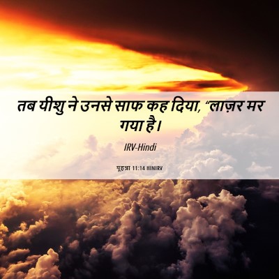 Picture 06 - यूहन्ना 11:14 HINIRV - तब यीशु ने उनसे साफ - Bible Verse Picture