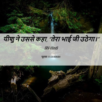 Picture 06 - यूहन्ना 11:23 HINIRV - यीशु ने उससे कहा, - Bible Verse Picture