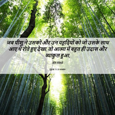 Picture 06 - यूहन्ना 11:33 HINIRV - जब यीशु ने उसको और - Bible Verse Picture