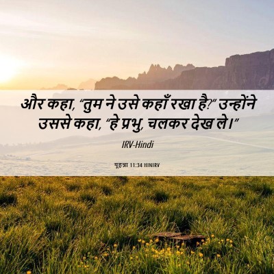 Picture 06 - यूहन्ना 11:34 HINIRV - और कहा, “तुम ने उसे - Bible Verse Picture
