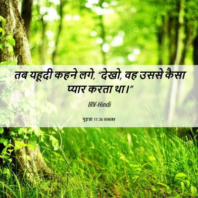 Picture 06 - यूहन्ना 11:36 HINIRV - तब यहूदी कहने लगे, - Bible Verse Picture