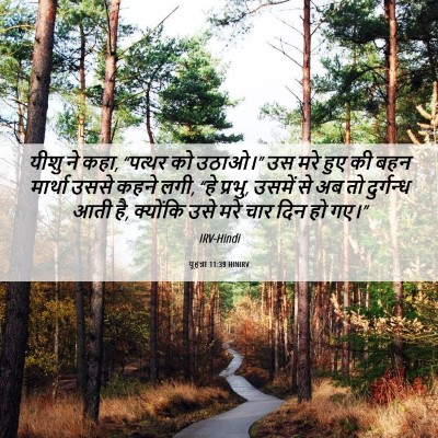 Picture 06 - यूहन्ना 11:39 HINIRV - यीशु ने कहा, “पत्थर - Bible Verse Picture