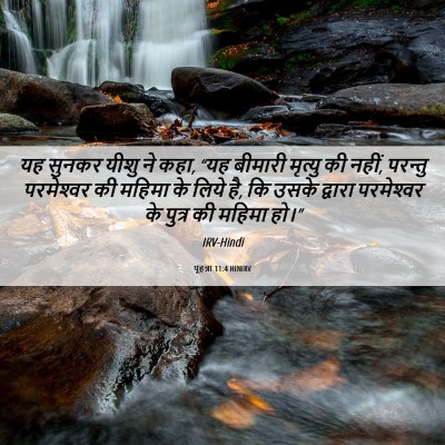 Picture 06 - यूहन्ना 11:4 HINIRV - यह सुनकर यीशु ने - Bible Verse Picture