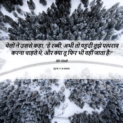Picture 06 - यूहन्ना 11:8 HINIRV - चेलों ने उससे कहा, - Bible Verse Picture
