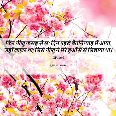 Picture 06 - यूहन्ना 12:1 HINIRV - फिर यीशु फसह से छः - Bible Verse Picture