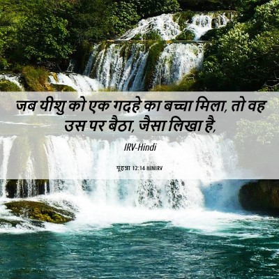 Picture 06 - यूहन्ना 12:14 HINIRV - जब यीशु को एक गदहे - Bible Verse Picture
