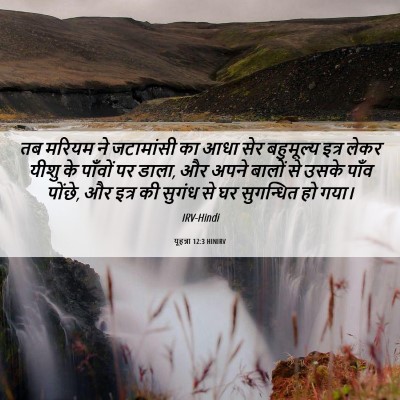 Picture 06 - यूहन्ना 12:3 HINIRV - तब मरियम ने - Bible Verse Picture