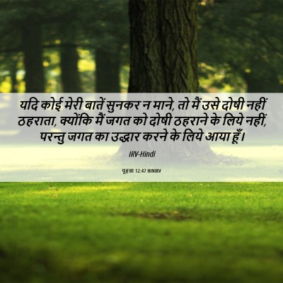 Picture 06 - यूहन्ना 12:47 HINIRV - यदि कोई मेरी बातें - Bible Verse Picture