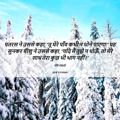 Picture 06 - यूहन्ना 13:8 HINIRV - पतरस ने उससे कहा, - Bible Verse Picture