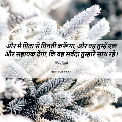 Picture 06 - यूहन्ना 14:16 HINIRV - और मैं पिता से - Bible Verse Picture