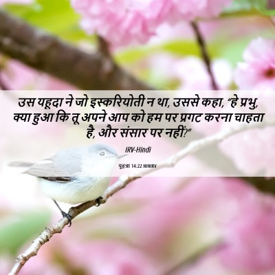 Picture 06 - यूहन्ना 14:22 HINIRV - उस यहूदा ने जो - Bible Verse Picture