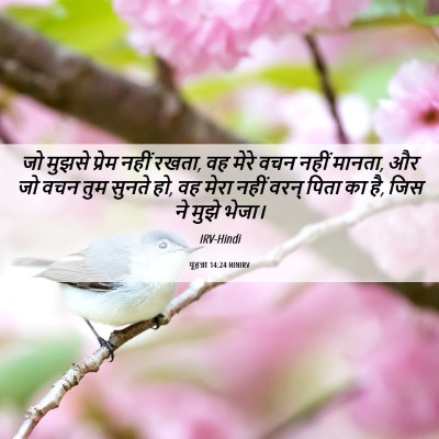 Picture 06 - यूहन्ना 14:24 HINIRV - जो मुझसे प्रेम - Bible Verse Picture
