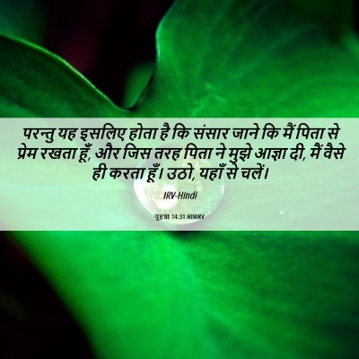 Picture 06 - यूहन्ना 14:31 HINIRV - परन्तु यह इसलिए - Bible Verse Picture