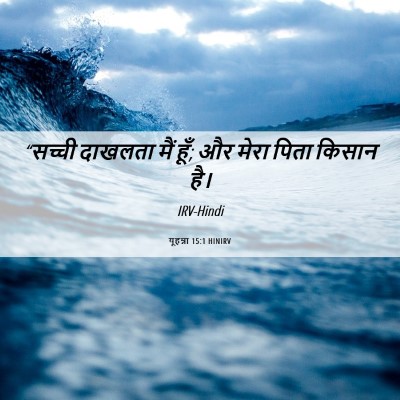 Picture 06 - यूहन्ना 15:1 HINIRV - “सच्ची दाखलता मैं - Bible Verse Picture