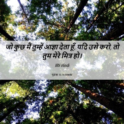 Picture 06 - यूहन्ना 15:14 HINIRV - जो कुछ मैं तुम्हें - Bible Verse Picture
