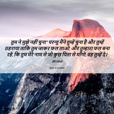 Picture 06 - यूहन्ना 15:16 HINIRV - तुम ने मुझे नहीं - Bible Verse Picture