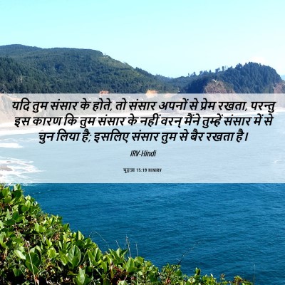 Picture 06 - यूहन्ना 15:19 HINIRV - यदि तुम संसार के - Bible Verse Picture