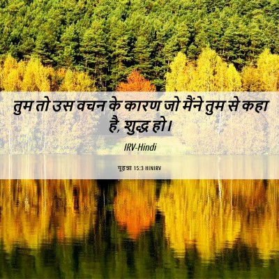 Picture 06 - यूहन्ना 15:3 HINIRV - तुम तो उस वचन के - Bible Verse Picture