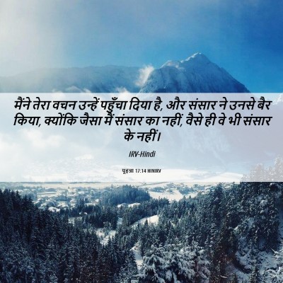 Picture 06 - यूहन्ना 17:14 HINIRV - मैंने तेरा वचन - Bible Verse Picture